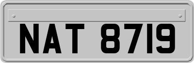 NAT8719