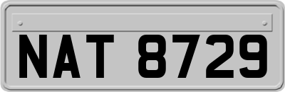 NAT8729