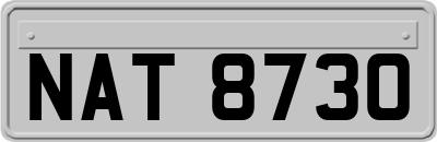 NAT8730