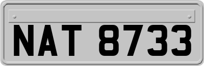 NAT8733