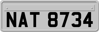 NAT8734