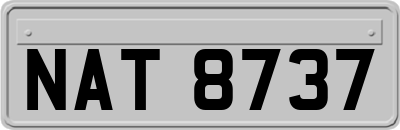 NAT8737