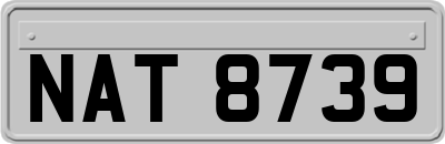 NAT8739