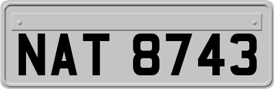 NAT8743