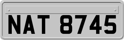 NAT8745