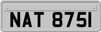 NAT8751