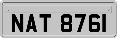 NAT8761