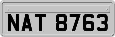 NAT8763