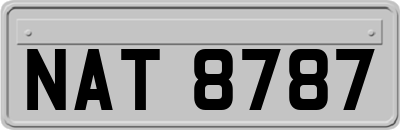 NAT8787