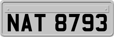 NAT8793