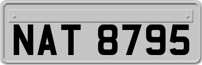 NAT8795