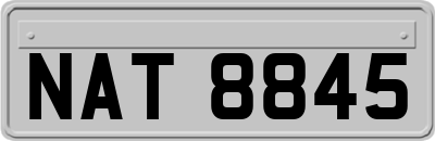 NAT8845