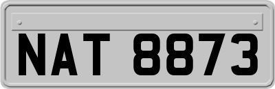 NAT8873