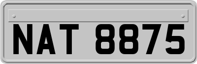 NAT8875