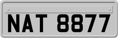 NAT8877