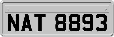 NAT8893