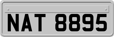 NAT8895