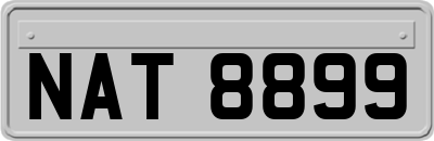 NAT8899