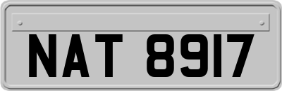 NAT8917