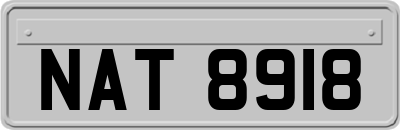 NAT8918