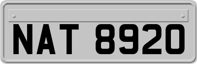 NAT8920