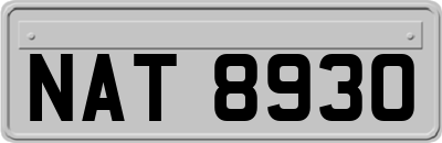 NAT8930