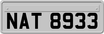 NAT8933