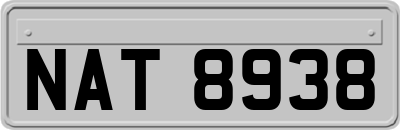 NAT8938