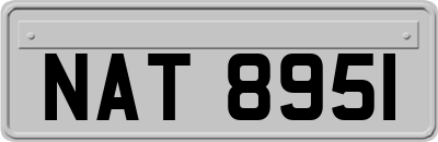 NAT8951