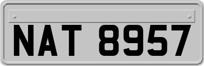 NAT8957