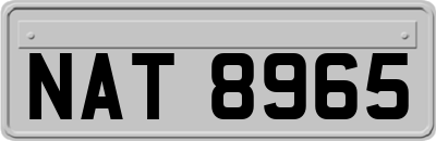 NAT8965