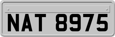 NAT8975