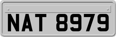 NAT8979