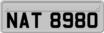 NAT8980