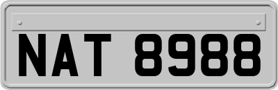 NAT8988