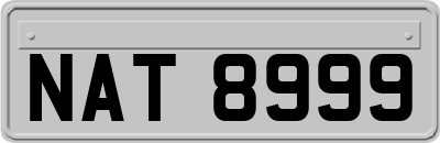 NAT8999