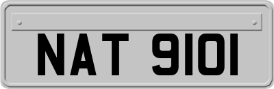 NAT9101