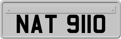 NAT9110