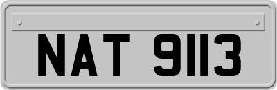 NAT9113