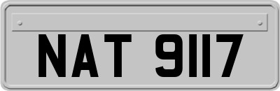 NAT9117