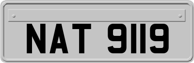 NAT9119