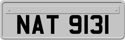 NAT9131