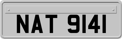 NAT9141