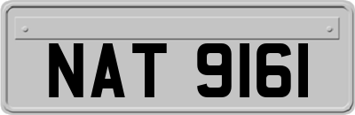 NAT9161