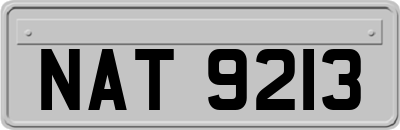 NAT9213
