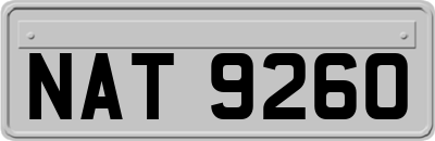 NAT9260