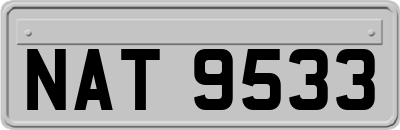 NAT9533