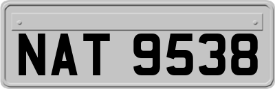 NAT9538