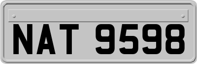 NAT9598