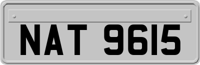 NAT9615